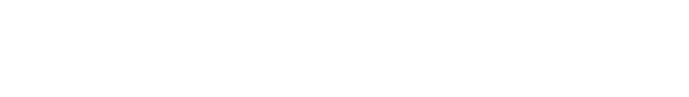 The New York Times Logo Image